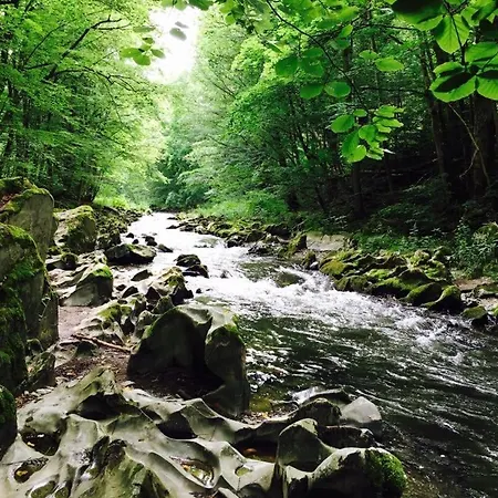 Weinhaus Eberitzsch Gmbh 3* Bad Blankenburg